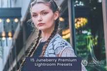 时尚街拍电影人像Lightroom预设15 Juneberry Premium Lightroom Presets