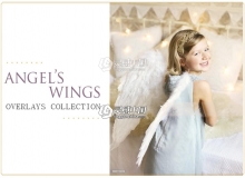 白色翅膀高清叠加合成素材 White Wings Photo Overlays PNG