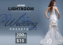 200婚礼婚纱Lightroom预设 200 Lightroom Wedding Presets