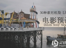 30种索尼机型 LUTs 电影预设 Deluts Sony Slog3