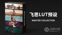 飞思LUT预设PRO EDU-Master Collection -100 3D Lut Profiles Capture One Pro