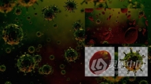 移动病毒细胞3D动画疾病医学研究教育/解释性视频素材 videohive Virus