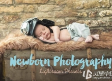 新生儿婴儿后期奶油梦幻色调Lightroom预设 Newborn Lightroom Presets